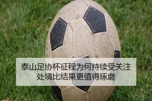 泰山足协杯征程为何持续受关注 处境比结果更值得琢磨（xingkong）